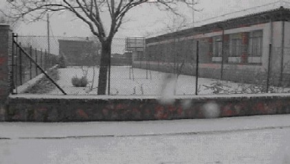 CASASOLA COLE NEVADO